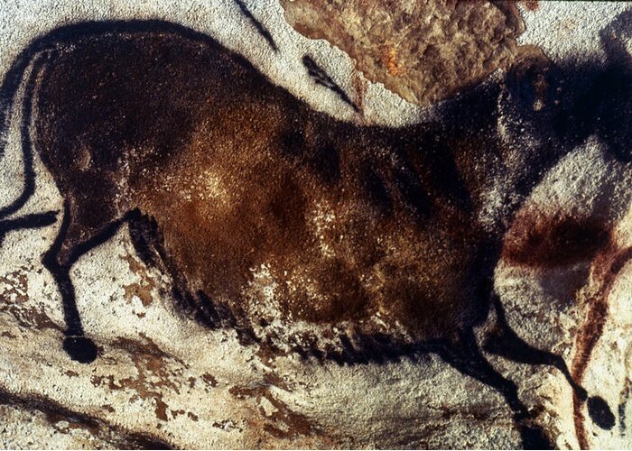Cave Greeting Card featuring the photograph Lascaux: Horse #1 by Granger