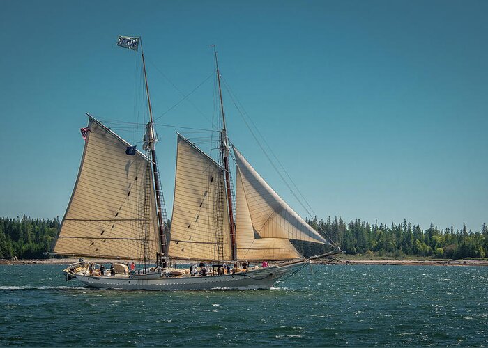 Schooner Greeting Card featuring the photograph Mary Day by Fred LeBlanc