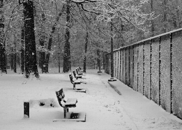 Snow Greeting Card featuring the photograph Match called for snow #1 by Andy Lawless