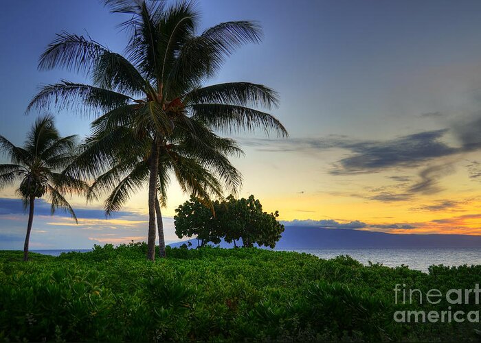 Sunset Greeting Card featuring the photograph Maui Palm Sunset #2 by Kelly Wade