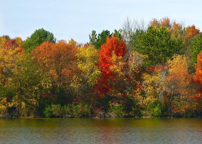 Hovind Greeting Card featuring the photograph Michigan Fall Colors #1 by Scott Hovind