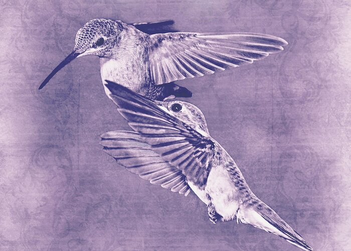 Hummingbirds Greeting Card featuring the photograph Mid-Flight II #1 by Leda Robertson