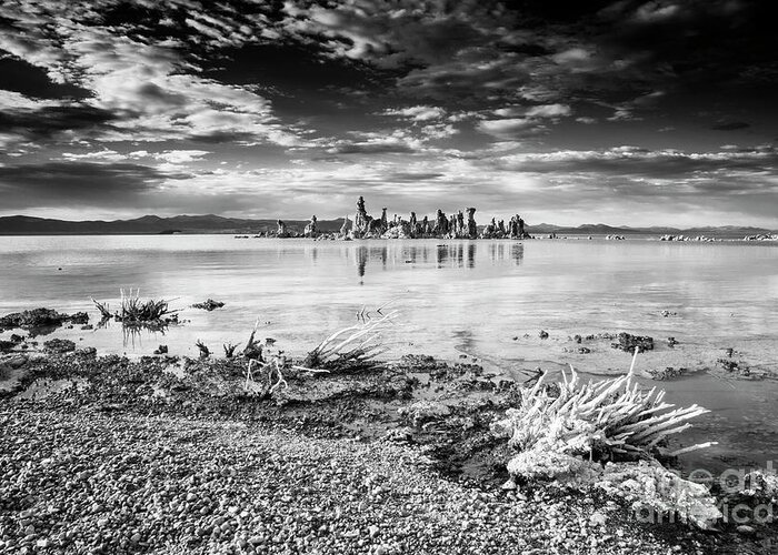 Mono Lake Greeting Card featuring the photograph Mono Lake #1 by Olivier Steiner