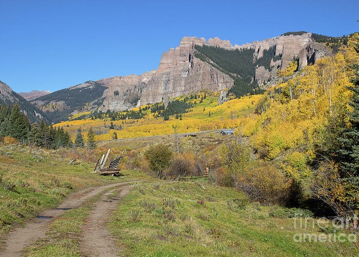 Colorado Aspen Landscape Greeting Card featuring the photograph Mountain Home by Jim Garrison