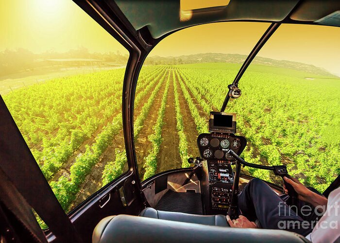 Napa Valley Greeting Card featuring the photograph Napa Valley scenic flight #1 by Benny Marty