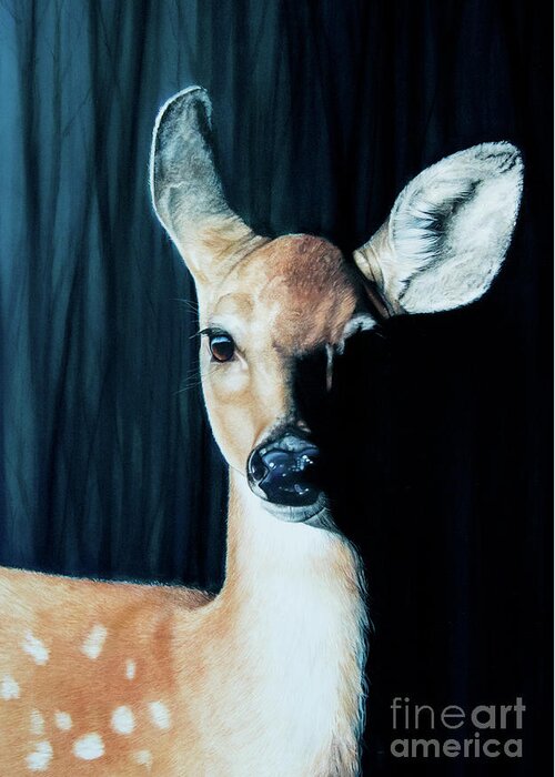 Whitetail Greeting Card featuring the pastel Oh Deer by Joni Beinborn