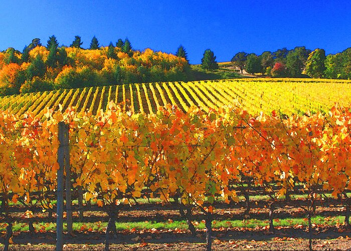 Oregon Wine Country Greeting Card featuring the photograph Oregon Wine Country #1 by Margaret Hood