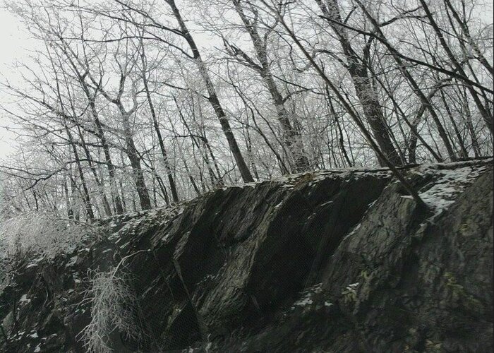 Snow Greeting Card featuring the photograph Out of the Rocks #1 by Ellen Levinson