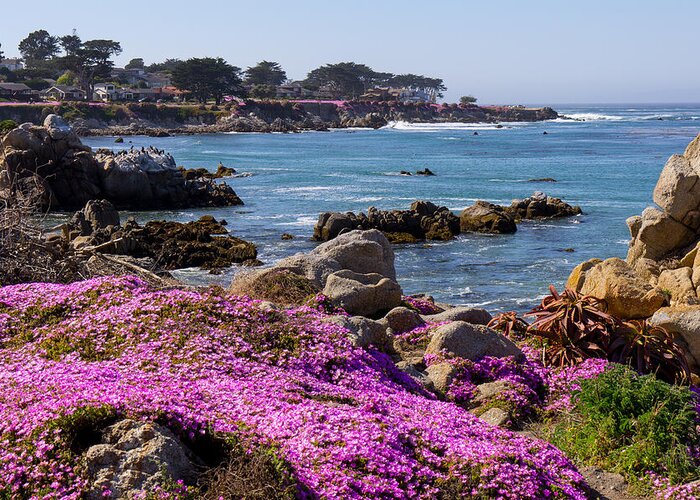 Pacific Grove Greeting Card featuring the photograph Pacific Grove #1 by Derek Dean