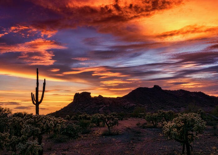 Saguaro Sunset Greeting Card featuring the photograph Paint The Sonoran Skies #1 by Saija Lehtonen