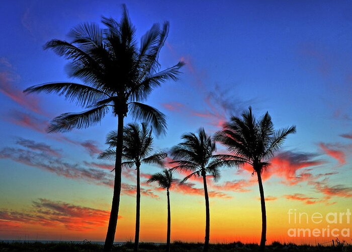 Beach Greeting Card featuring the photograph Palm Tree Skies by Scott Mahon