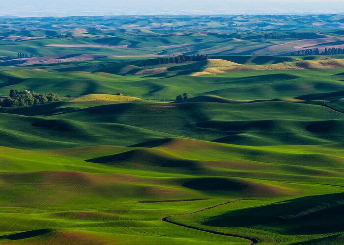 Landscape Greeting Card featuring the photograph Palouse wheat field #1 by Hisao Mogi