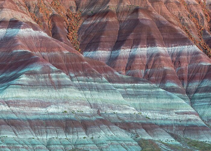 Landscape Greeting Card featuring the photograph Paria Canyon by Chuck Jason