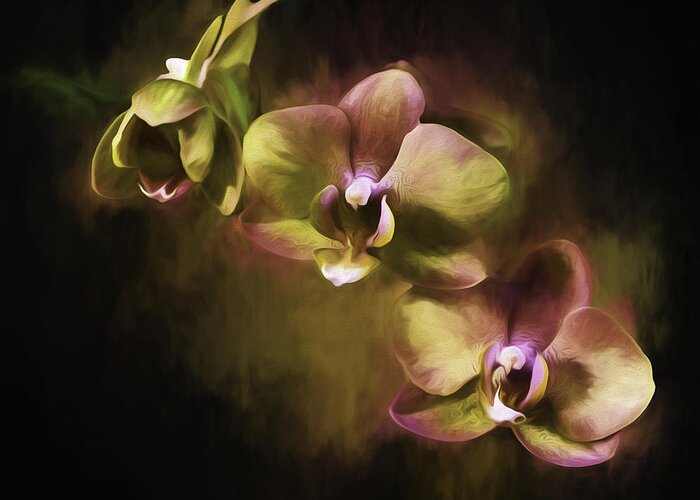 Orchid Greeting Card featuring the digital art Purple and Gold #1 by Ken Frischkorn