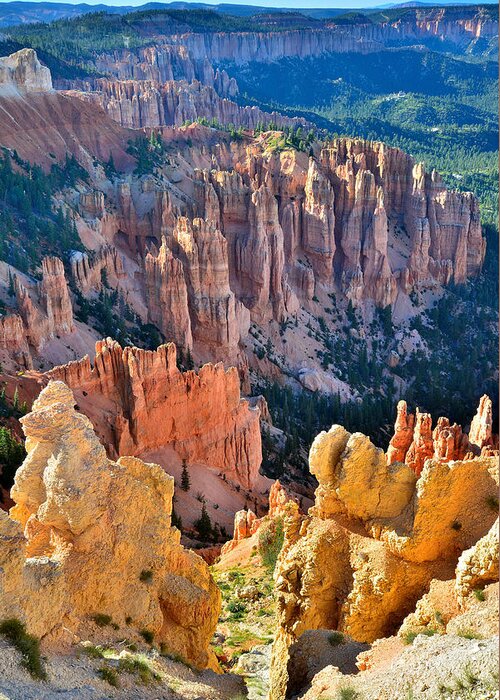 Bryce Canyon National Park Greeting Card featuring the photograph Rainbow Point #2 by Ray Mathis