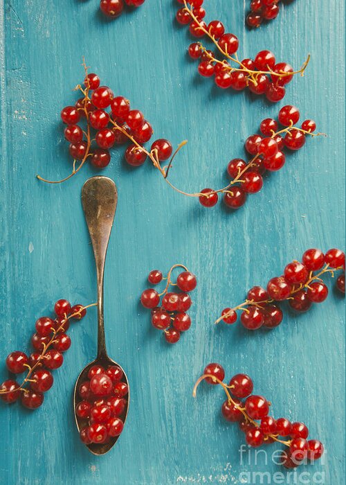 Red Greeting Card featuring the photograph Red Currant by Jelena Jovanovic