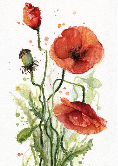 Red Poppy Greeting Card featuring the painting Red Poppies Watercolor by Olga Shvartsur