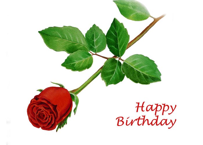 Happy Birthday Red Rose Bouquet Card