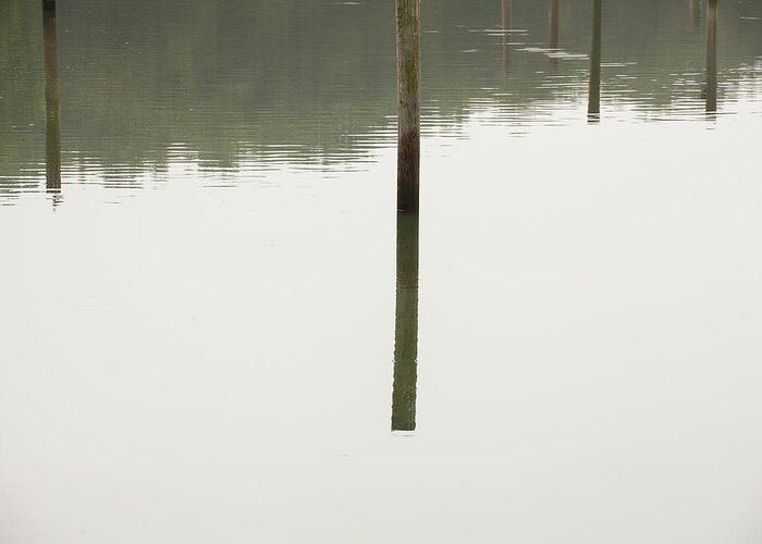 Reflecting Poles Greeting Card featuring the photograph Reflecting Poles #1 by Karol Livote
