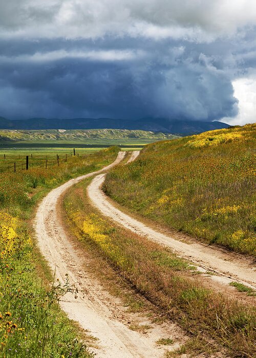 Carrizo Greeting Card featuring the photograph Road Through the Wildflowers #1 by Rick Pisio