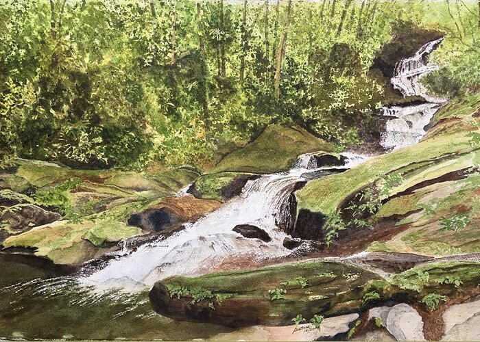 Roaring Fork Falls Greeting Card featuring the painting Roaring Fork Falls -- June 2017 #1 by Joel Deutsch