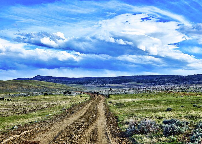 Ranch Greeting Card featuring the photograph Room To Roam - Wyoming #1 by Mountain Dreams