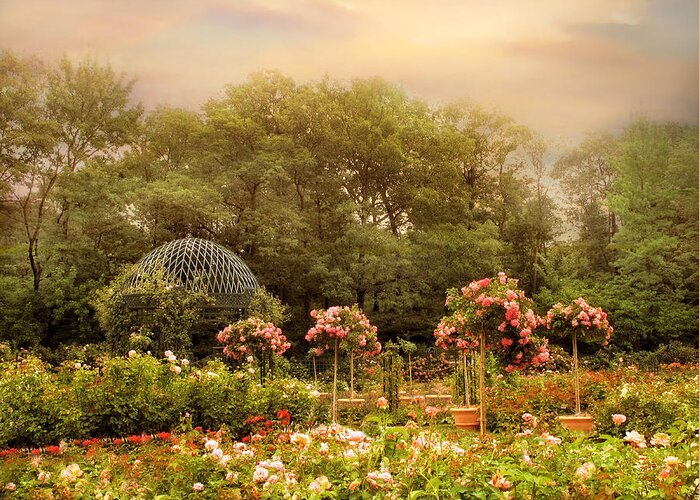 Nature Greeting Card featuring the photograph Rose Garden #2 by Jessica Jenney