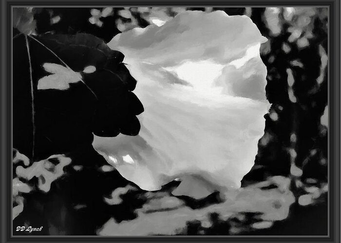 Nature Greeting Card featuring the mixed media Rose Of Sharon In Black And White #1 by Debra Lynch