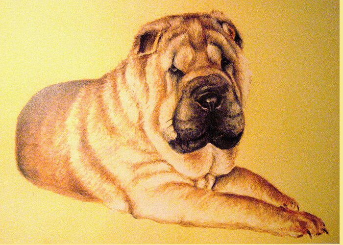 Sharpei Greeting Card featuring the pastel Sharpei by Larry Whitler