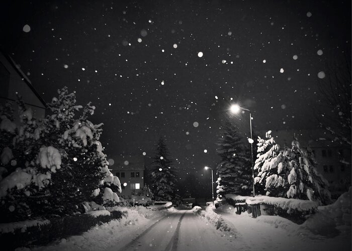 Snow Greeting Card featuring the photograph Silent Night by Dorit Fuhg