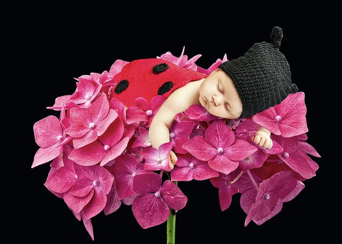 Ladybug Greeting Card featuring the photograph Sleeping Cute Newborn #1 by Gualtiero Boffi