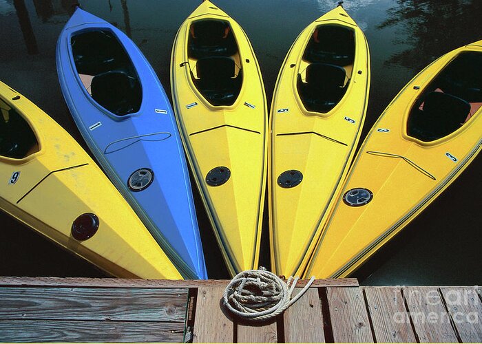Kayaks Greeting Card featuring the photograph kayaks photographs - Yellow Kayaks by Sharon Hudson