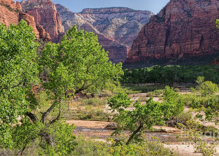 Utah Greeting Card featuring the photograph Spring in Zion #1 by Peggy Hughes