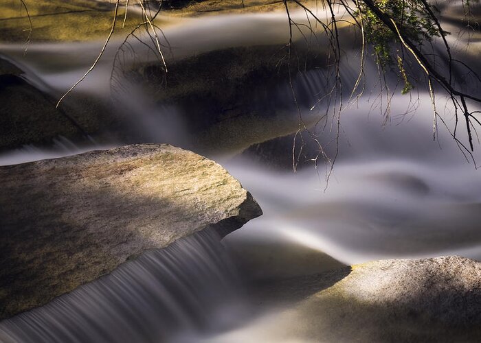 Dummerston Vermont Greeting Card featuring the photograph Stickney Brook III by Tom Singleton