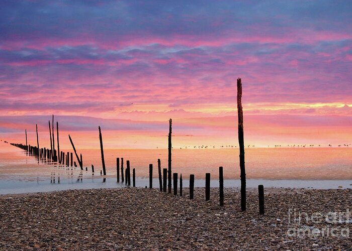 Sunrise Greeting Card featuring the photograph Sunrise at Woodstown beach #1 by Joe Cashin