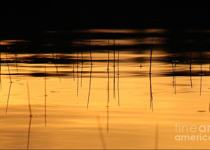 Sunset Greeting Card featuring the photograph Sunset on the water by Deena Withycombe