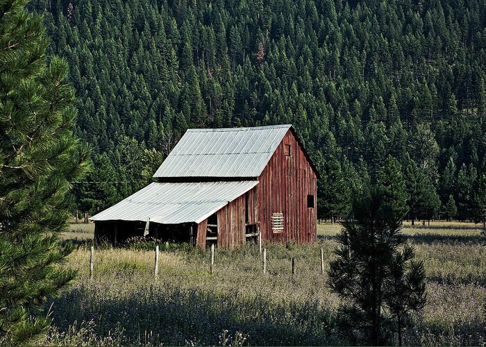 Barn Greeting Card featuring the photograph Surrounded By Forest #1 by Mountain Dreams
