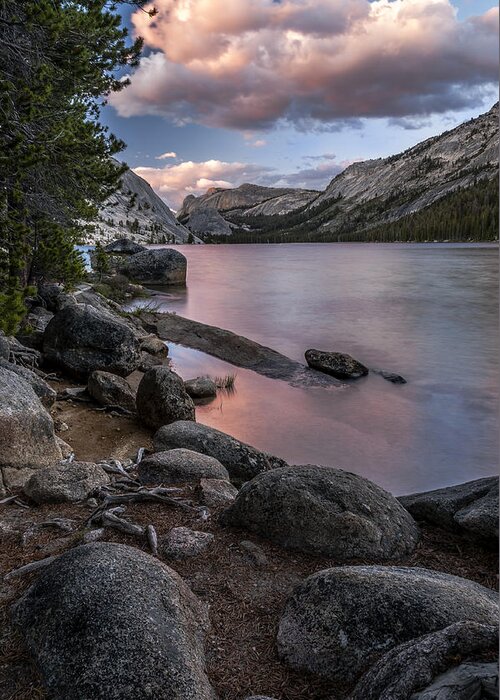 Lake Greeting Card featuring the photograph Tenaya Lake #1 by Cat Connor