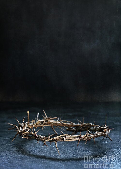 Crown Greeting Card featuring the photograph The Crown of Jesus Christ #1 by Stephanie Frey