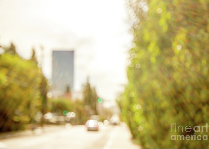 America Greeting Card featuring the photograph The Hedge by the Sidewalk During Day in the City of Los Angeles #1 by Eiko Tsuchiya