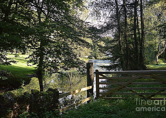 Gate Greeting Card featuring the photograph Through the Gate #1 by Andy Thompson