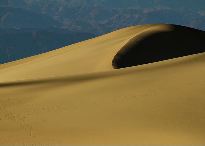 Mesquite Dunes Greeting Card featuring the photograph Tones of Mesquite #1 by Kunal Mehra