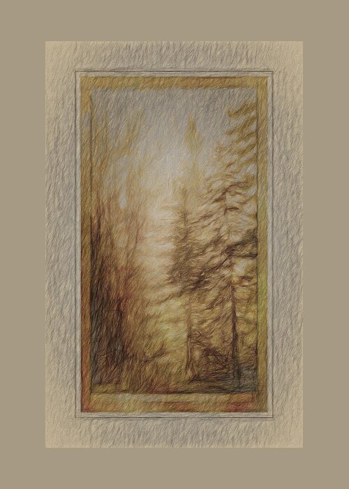 Trees Greeting Card featuring the photograph Trees #1 by Phyllis Meinke