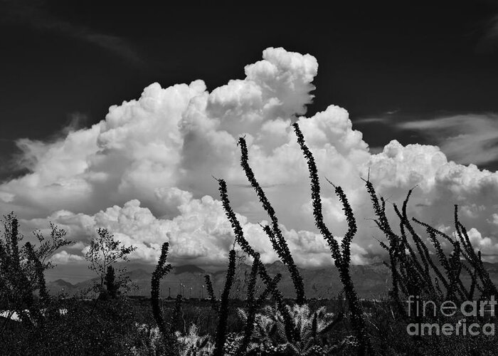 Arizona Greeting Card featuring the photograph Under A Cloud by Janet Marie