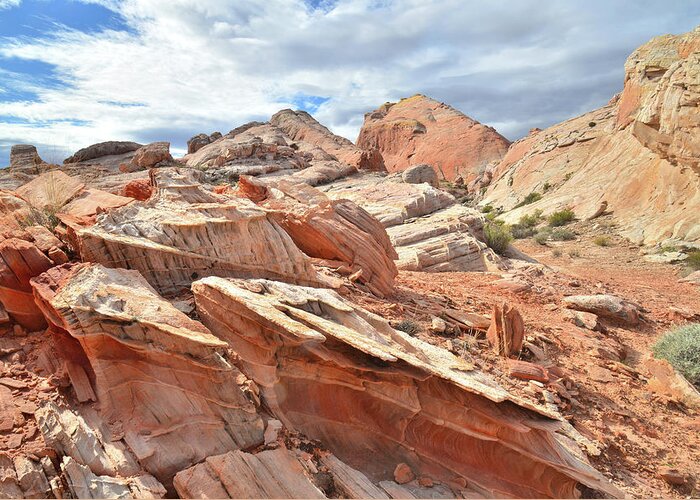Valley Of Fire State Park Greeting Card featuring the photograph Valley of Fire High Country #5 by Ray Mathis