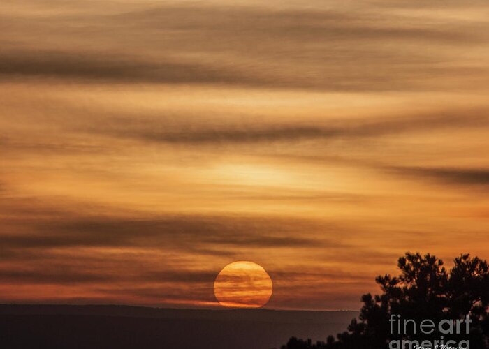 Natanson Greeting Card featuring the photograph Veiled Sunrise #1 by Steven Natanson