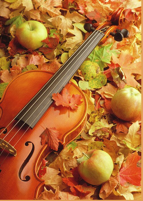 Photograph Greeting Card featuring the photograph Violin with Fallen Leaves #1 by Douglas Pulsipher