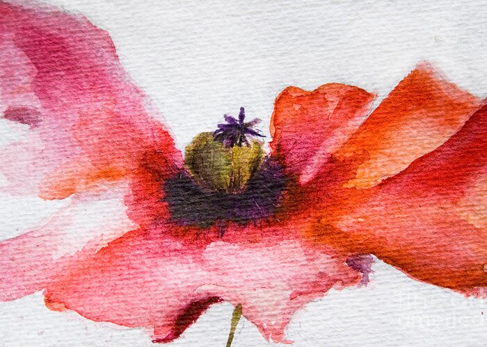 Art Greeting Card featuring the painting Watercolor Poppy flower #1 by Regina Jershova