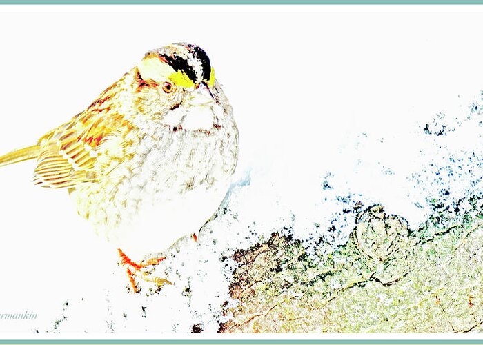Taxonomy Greeting Card featuring the photograph White-throated Sparrow in Snow #1 by A Macarthur Gurmankin