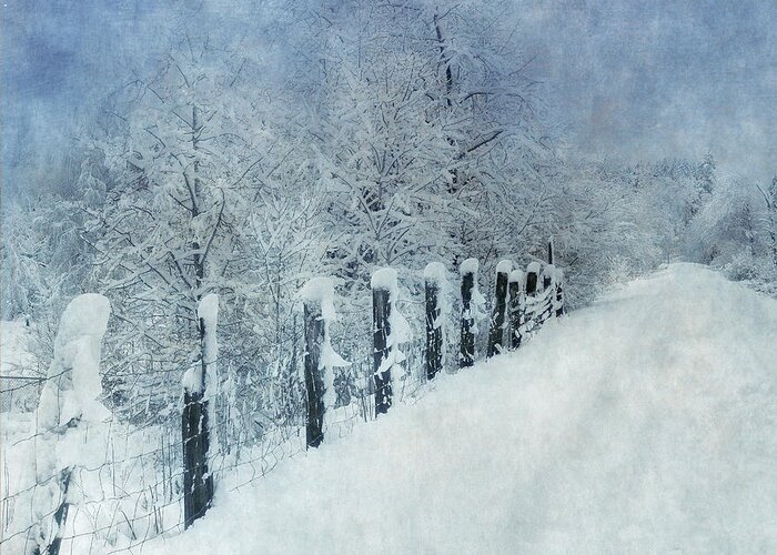 Winter Greeting Card featuring the photograph Winter #1 by Angie Vogel